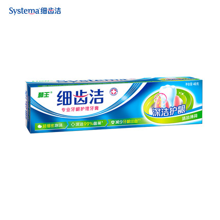 狮王 细齿洁牙龈倍护软毛牙刷6支 孕妇月子适用 进口细毛防出血
